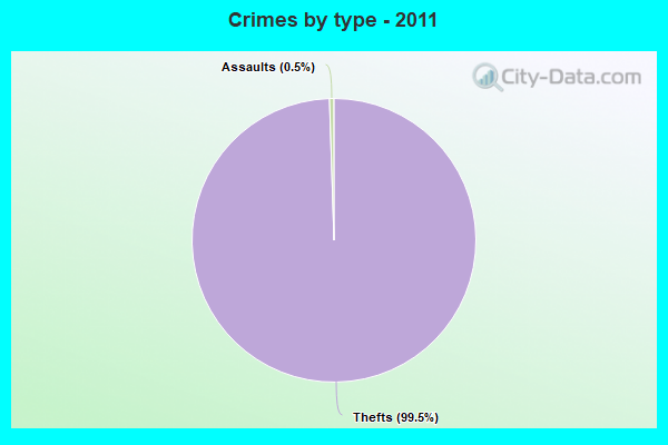 Crimes by type - 2011