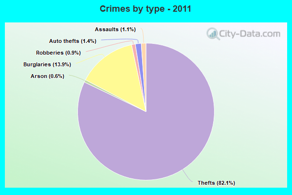 Crimes by type - 2011