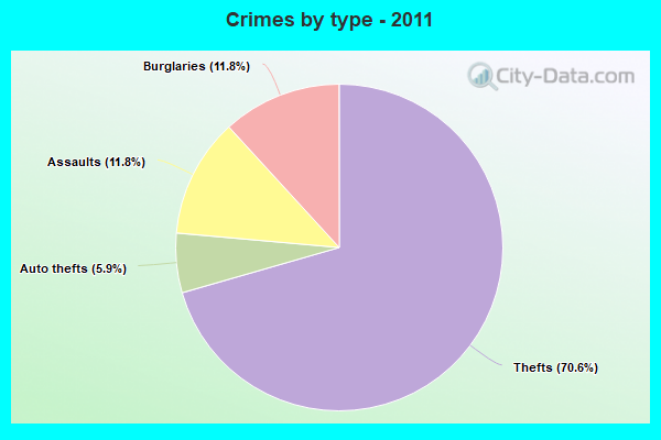 Crimes by type - 2011