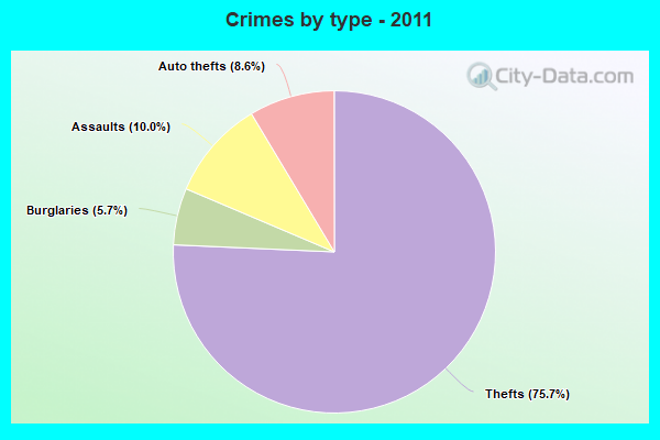 Crimes by type - 2011