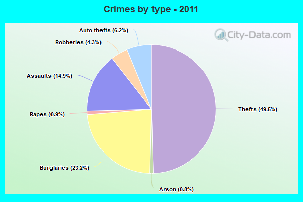 Crimes by type - 2011