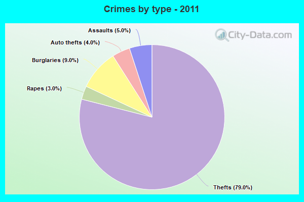 Crimes by type - 2011