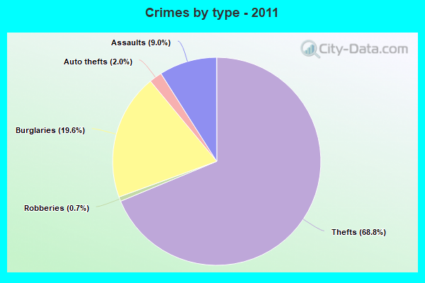 Crimes by type - 2011