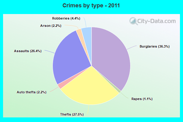 Crimes by type - 2011