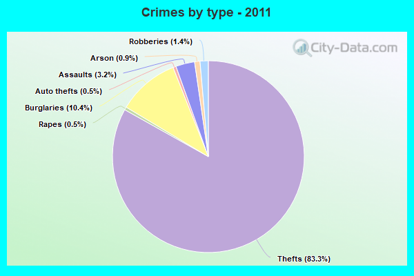 Crimes by type - 2011