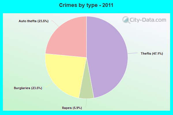 Crimes by type - 2011