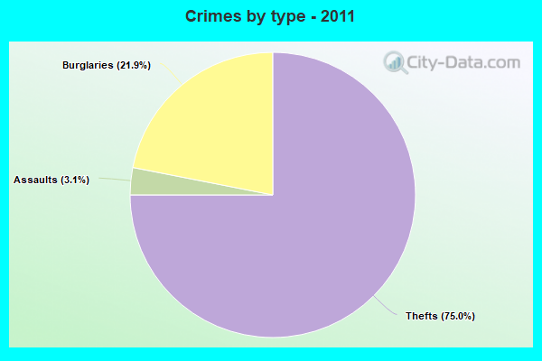 Crimes by type - 2011