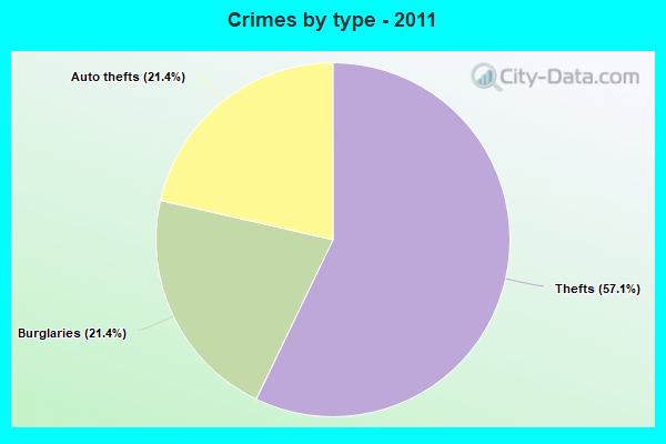 Crimes by type - 2011