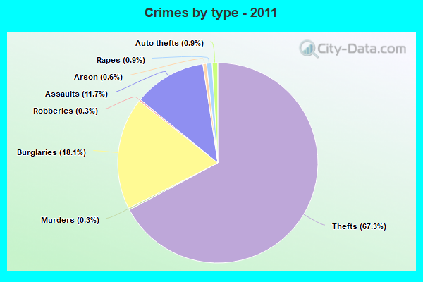 Crimes by type - 2011