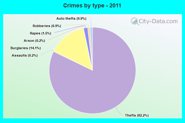 Crimes by type - 2011