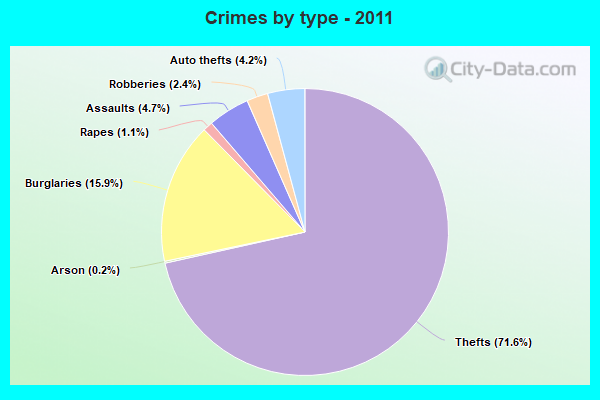 Crimes by type - 2011