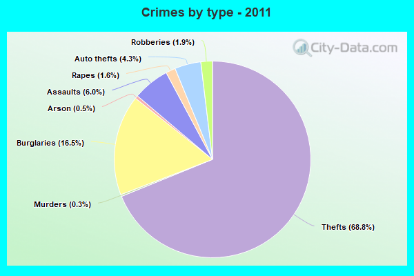 Crimes by type - 2011