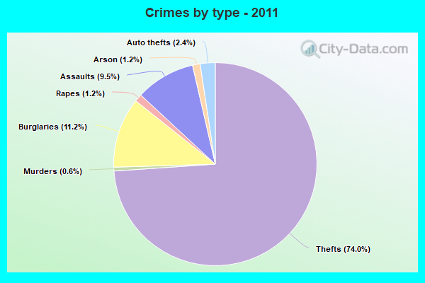 Crimes by type - 2011