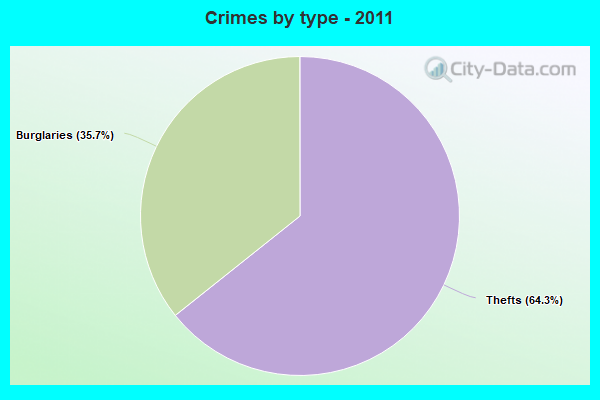 Crimes by type - 2011