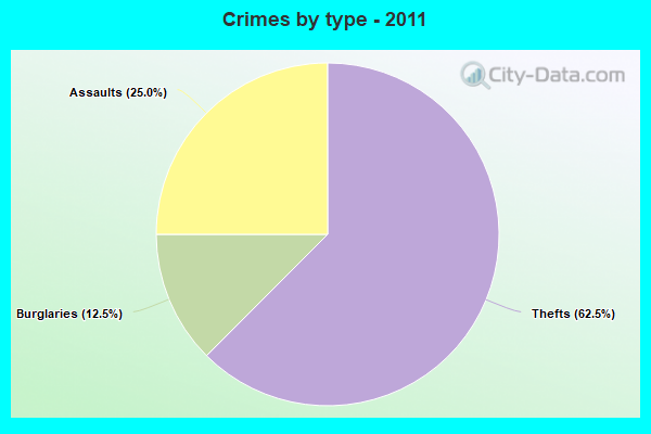 Crimes by type - 2011