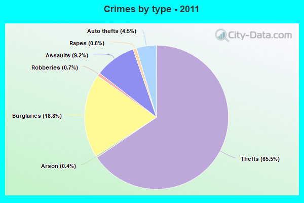 Crimes by type - 2011