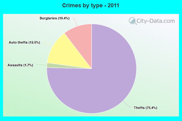 Crimes by type - 2011