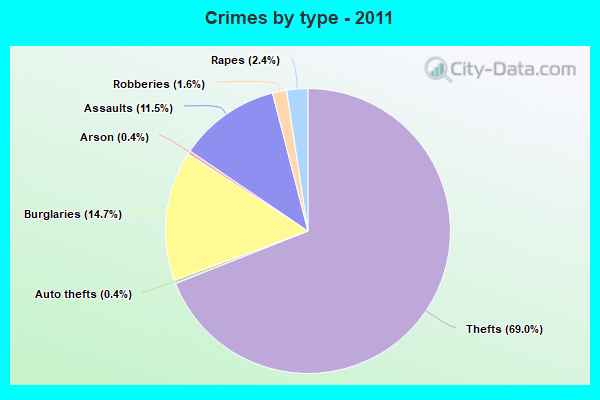 Crimes by type - 2011