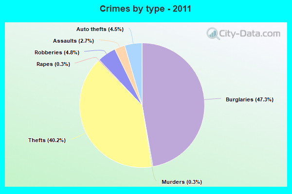 Crimes by type - 2011