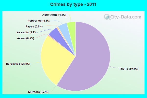 Crimes by type - 2011