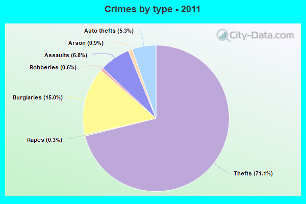 Crimes by type - 2011