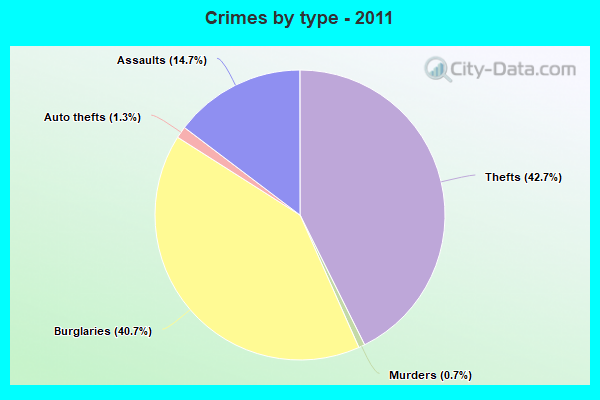 Crimes by type - 2011