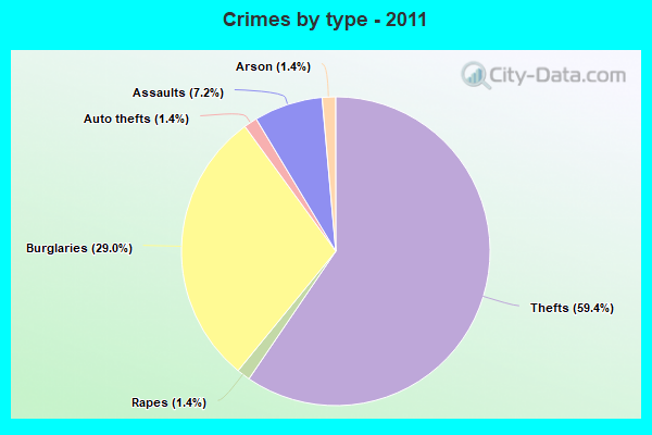 Crimes by type - 2011