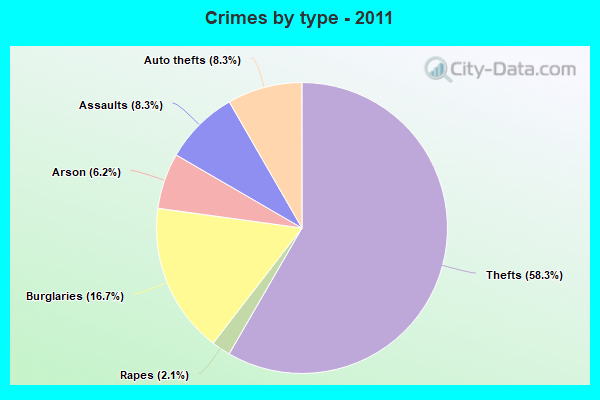 Crimes by type - 2011