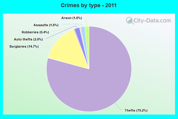 Crimes by type - 2011