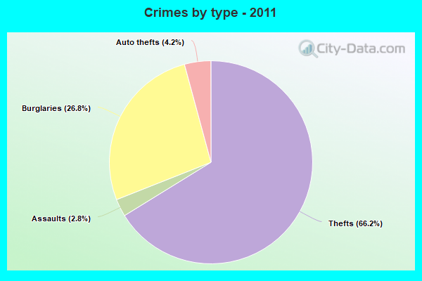 Crimes by type - 2011