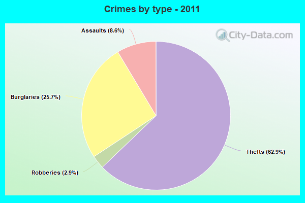 Crimes by type - 2011