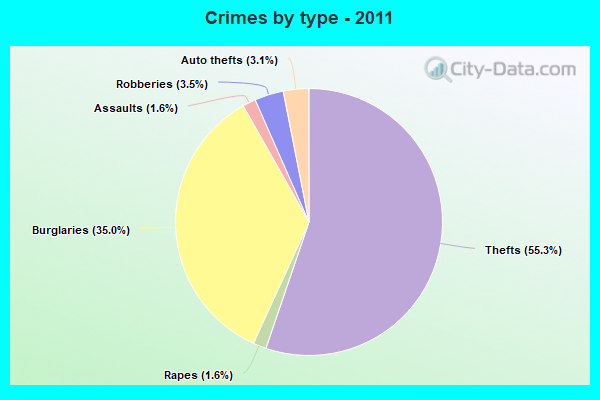 Crimes by type - 2011