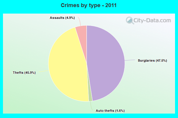 Crimes by type - 2011