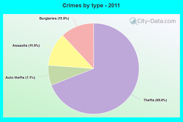 Crimes by type - 2011