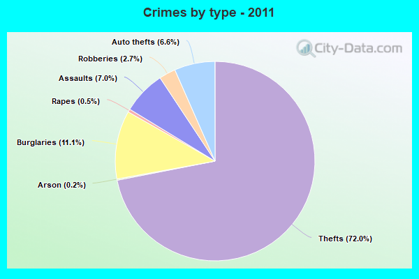 Crimes by type - 2011