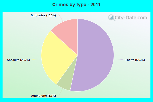 Crimes by type - 2011