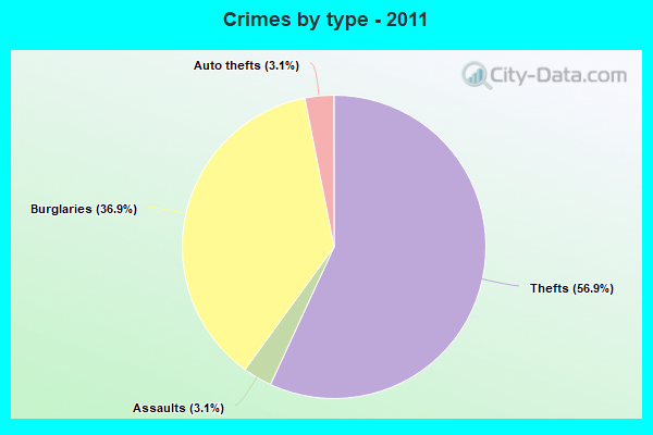 Crimes by type - 2011