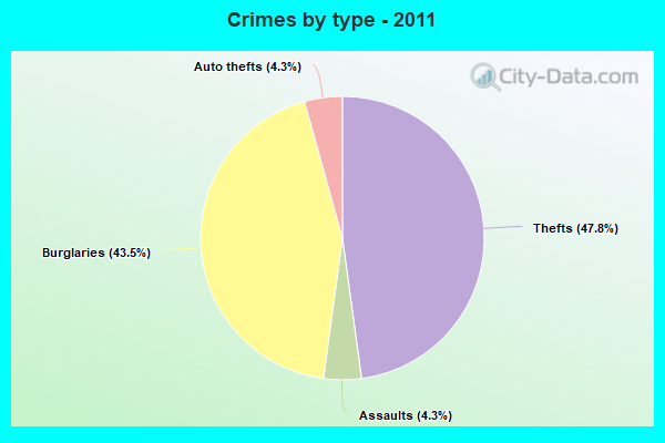 Crimes by type - 2011