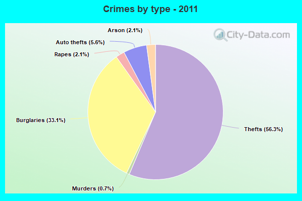 Crimes by type - 2011