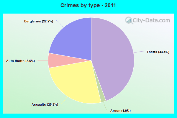 Crimes by type - 2011