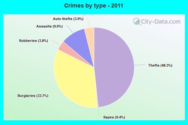 Crimes by type - 2011