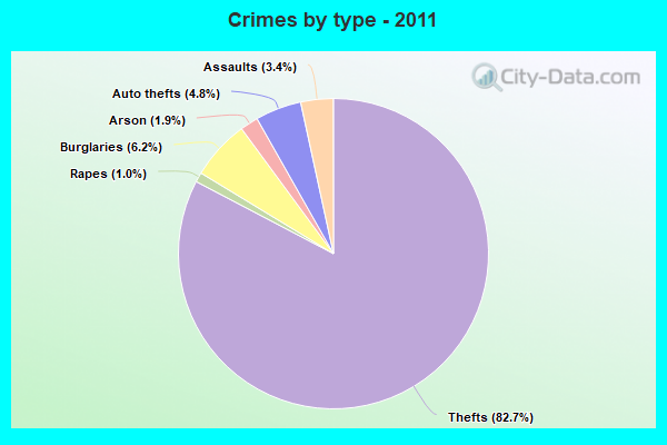 Crimes by type - 2011