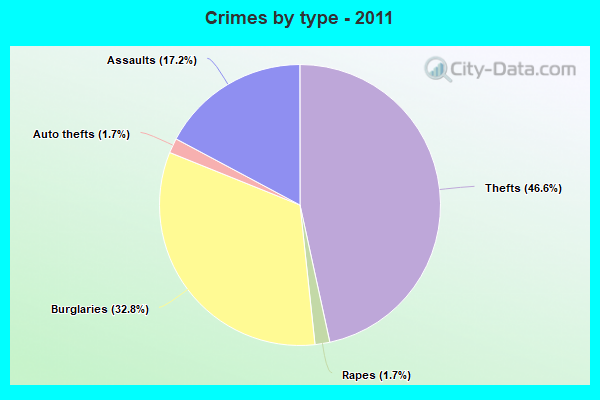 Crimes by type - 2011