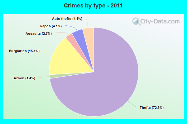 Crimes by type - 2011