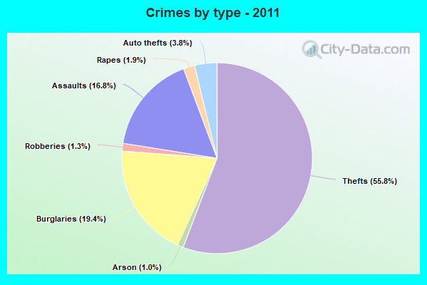 Crimes by type - 2011