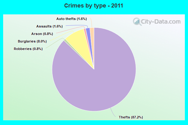 Crimes by type - 2011