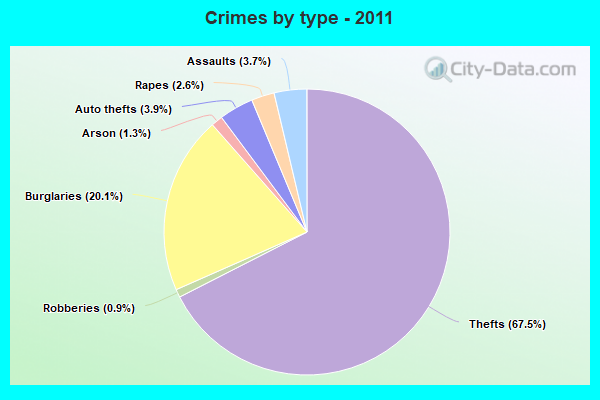 Crimes by type - 2011