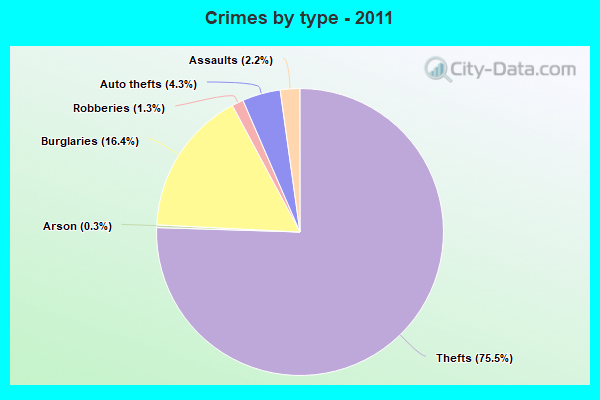 Crimes by type - 2011