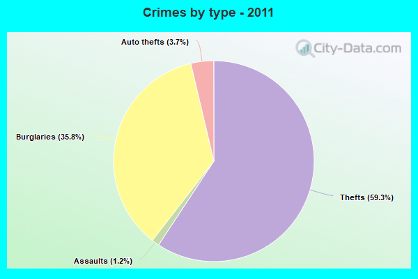 Crimes by type - 2011