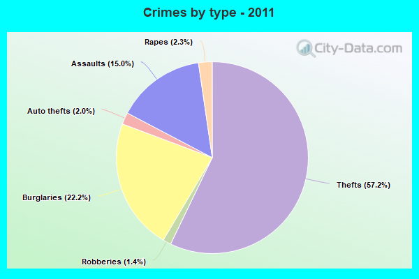 Crimes by type - 2011